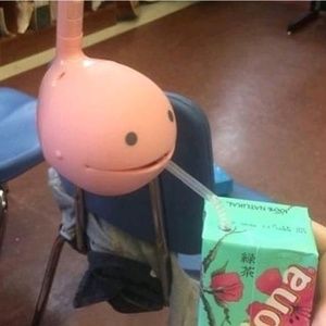 Meet your Posher, Logan